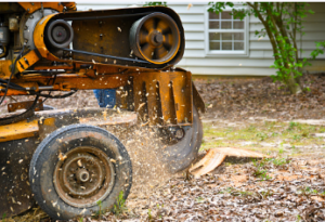 commercial stump removal Adelaide