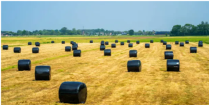biodegradable silage wrap